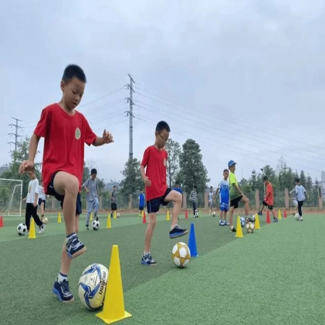 电竞季后赛新战术解析及阵容布局关键分析